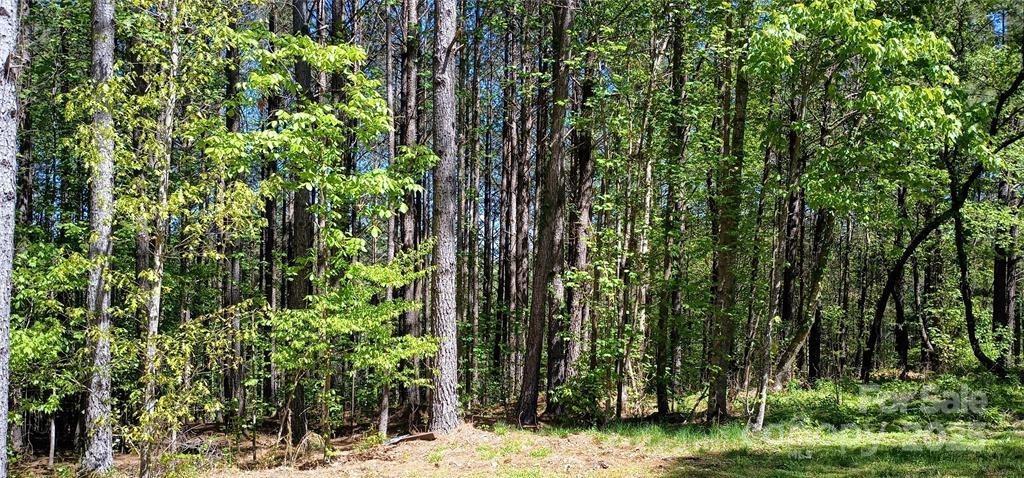 158 Table Rock Trace, Valdese, NC 28690