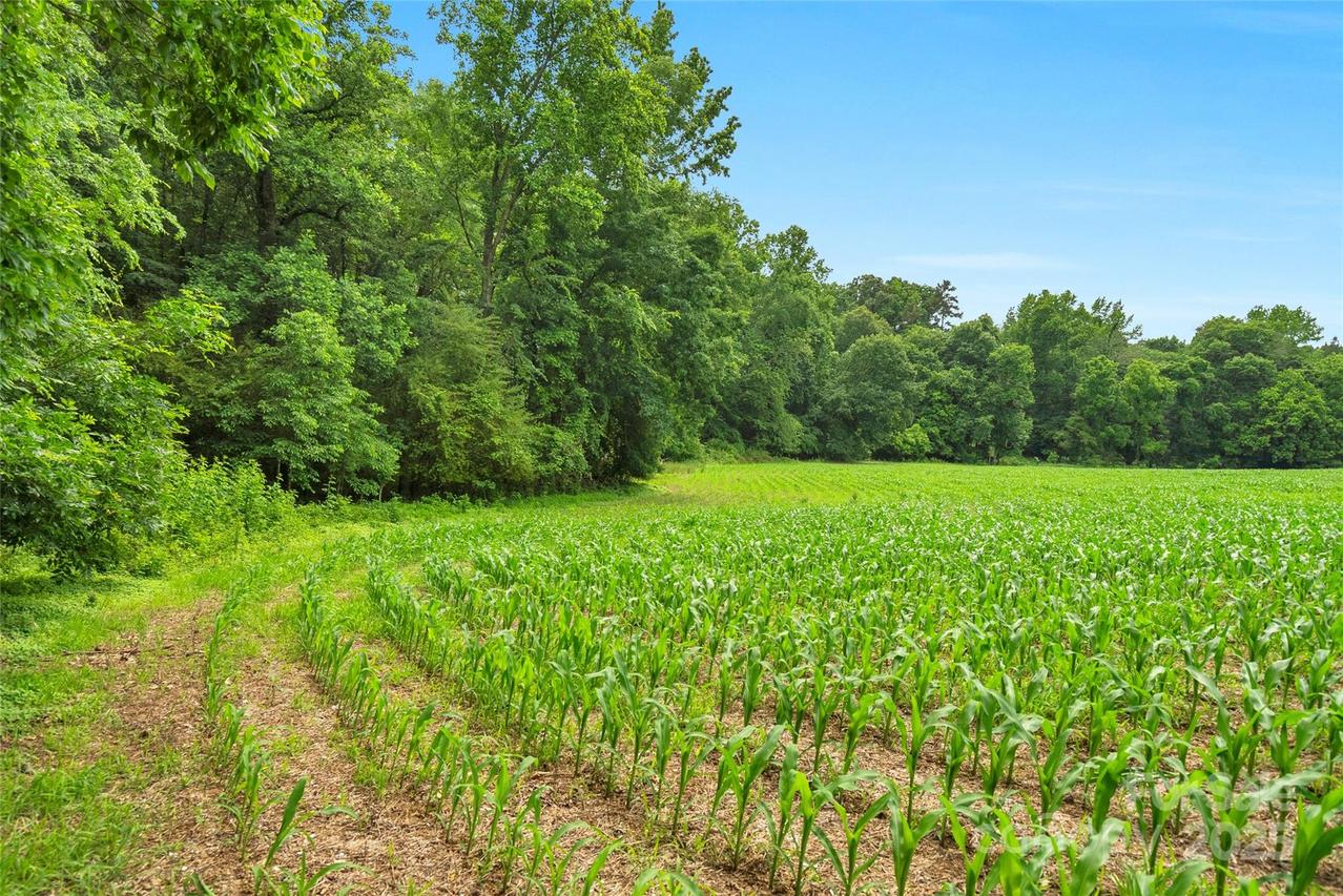 0000 Lucy Short Cut Rd. #2, Marshville, NC 28103