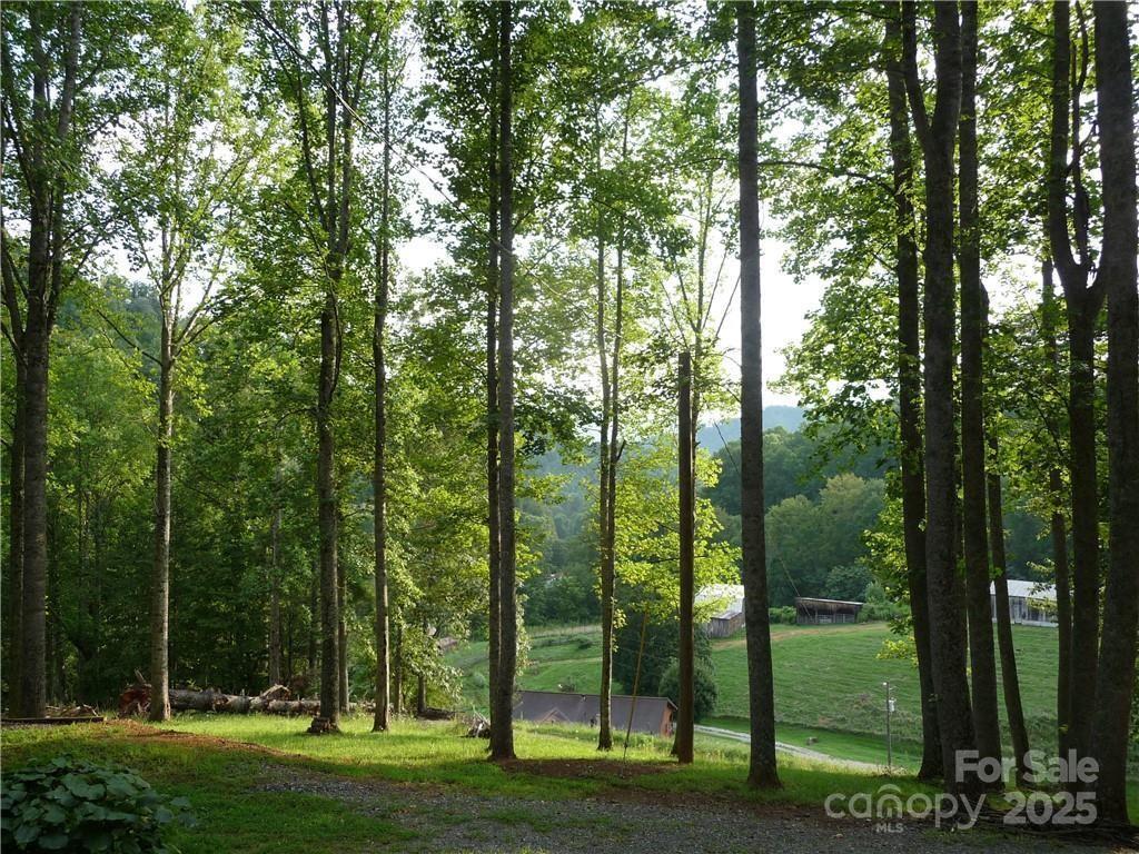 Joe Shoemaker Rd., Vilas, NC 28692