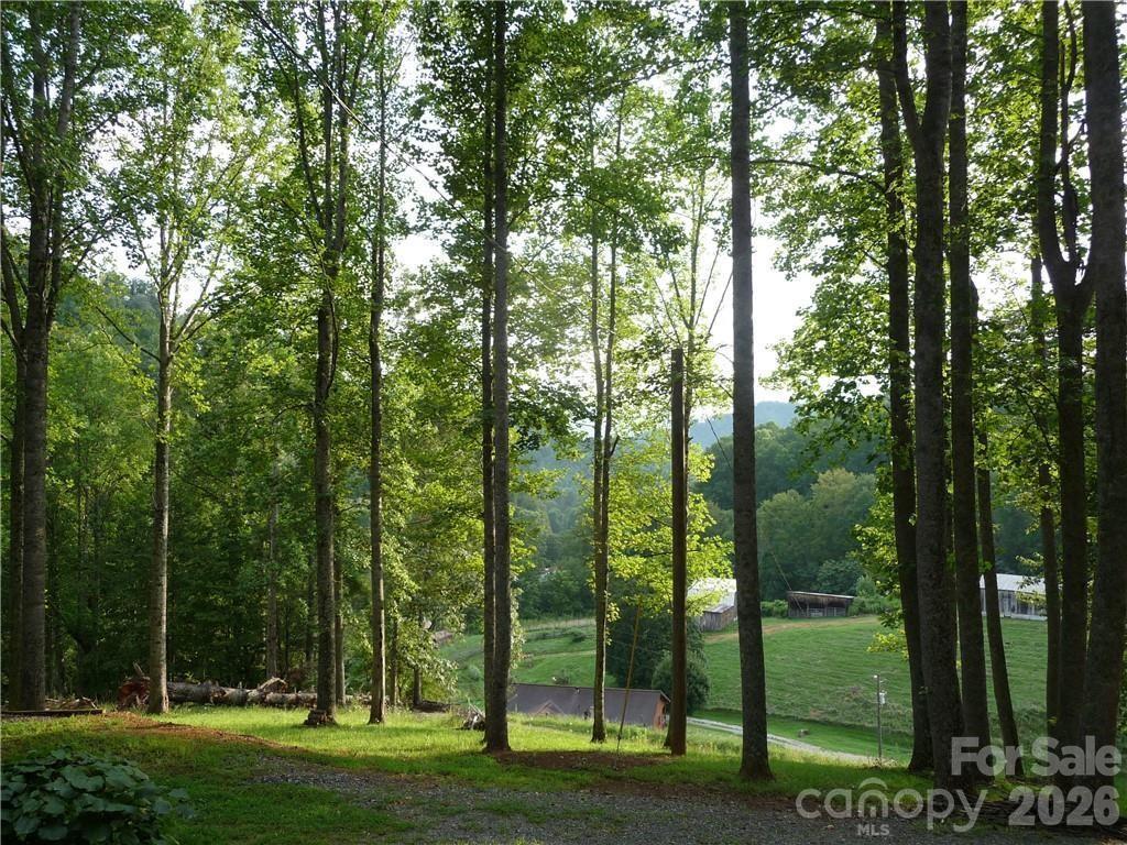 Joe Shoemaker Rd., Vilas, NC 28692