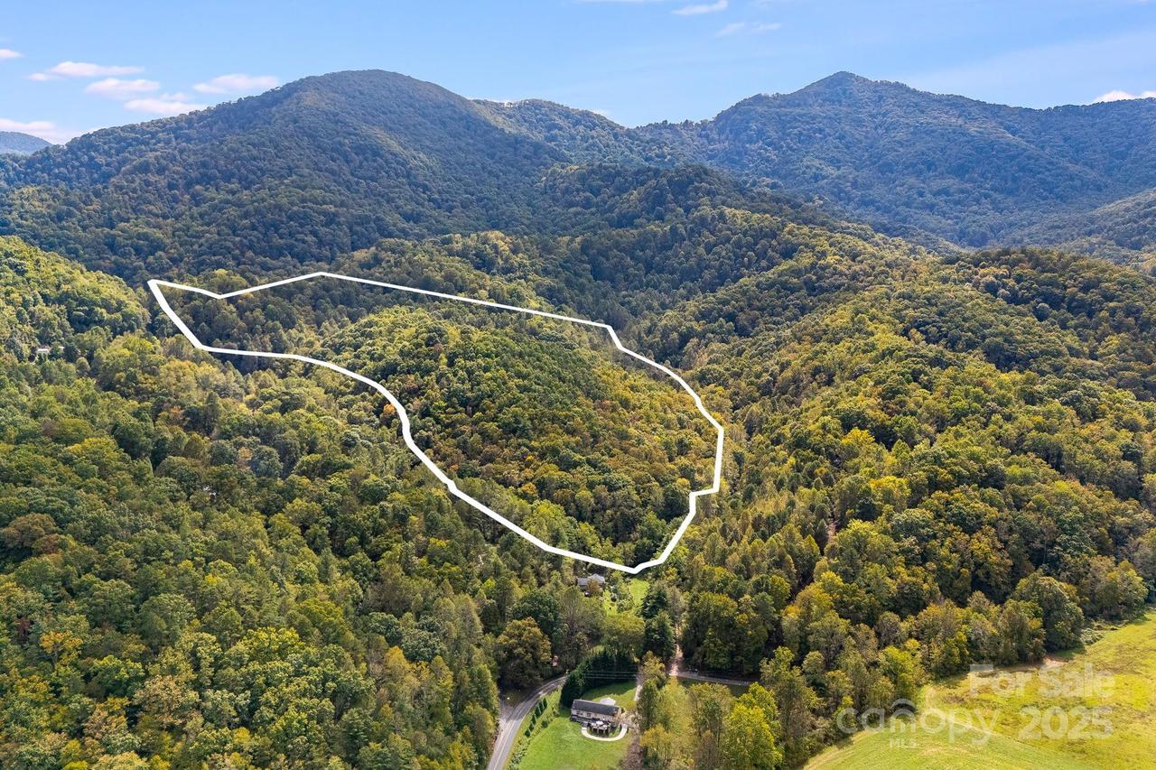 99999 S Hidden Cove Rd., Leicester, NC 28748