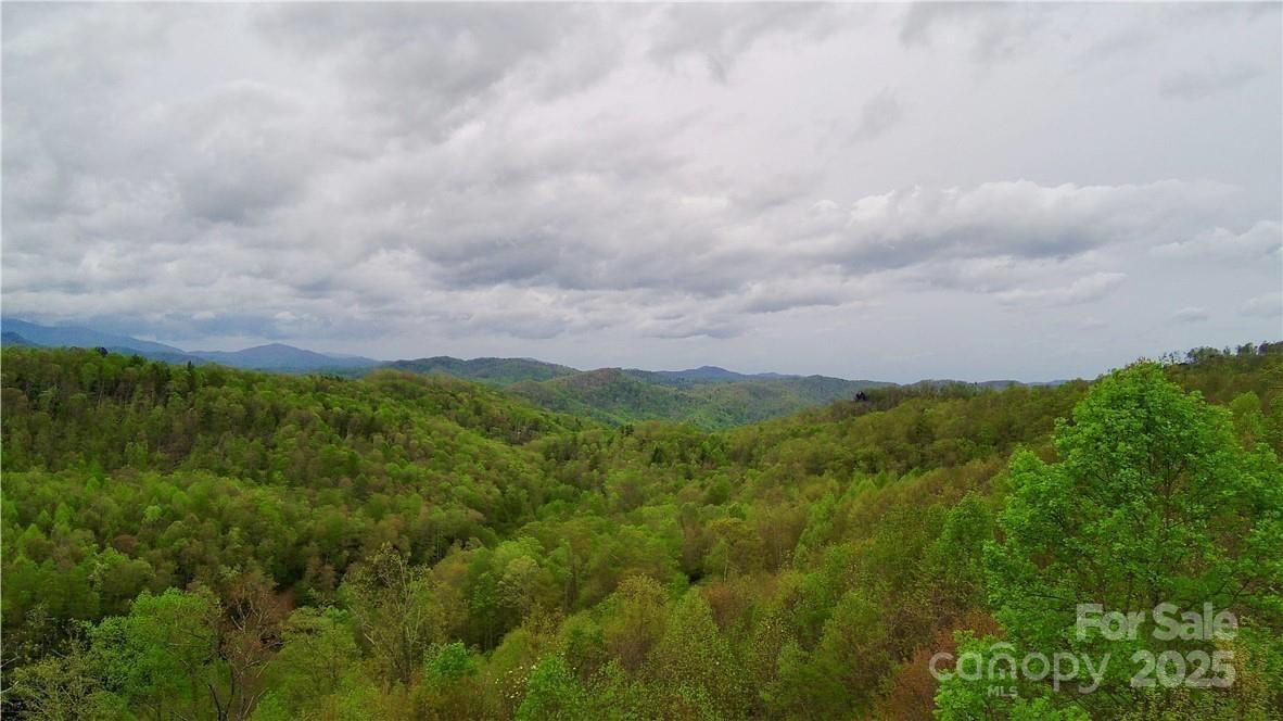 Lot 24 Lake View Dr. #24, Elk Park, NC 28622