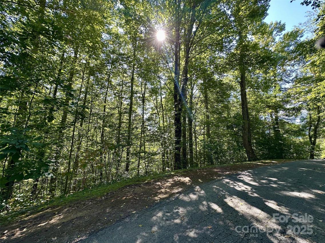 00 Loblolly Way #C11, Maggie Valley, NC 28751