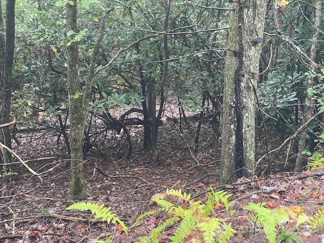 00 Mcdonald Ct., Pisgah Forest, NC 28768