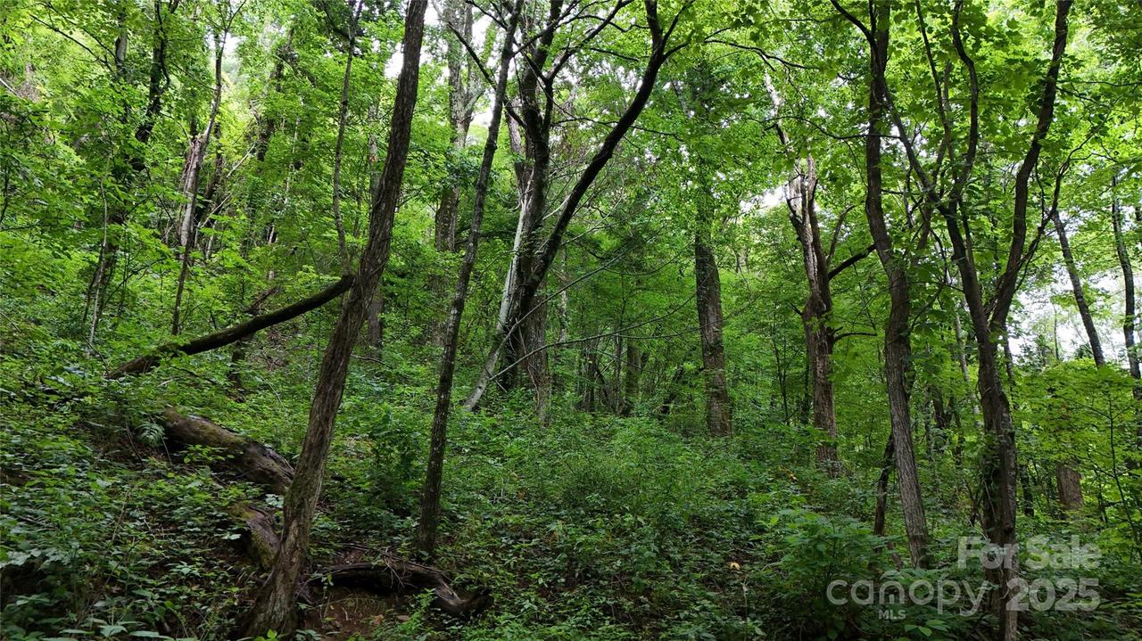 00 Killdevil Hill Ln. #9 & 10, Bat Cave, NC 28792
