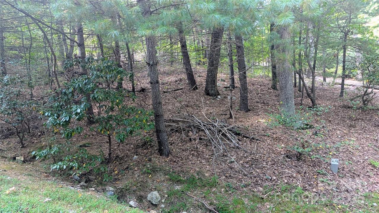 101 Scenic Dr. #74, Flat Rock, NC 28731