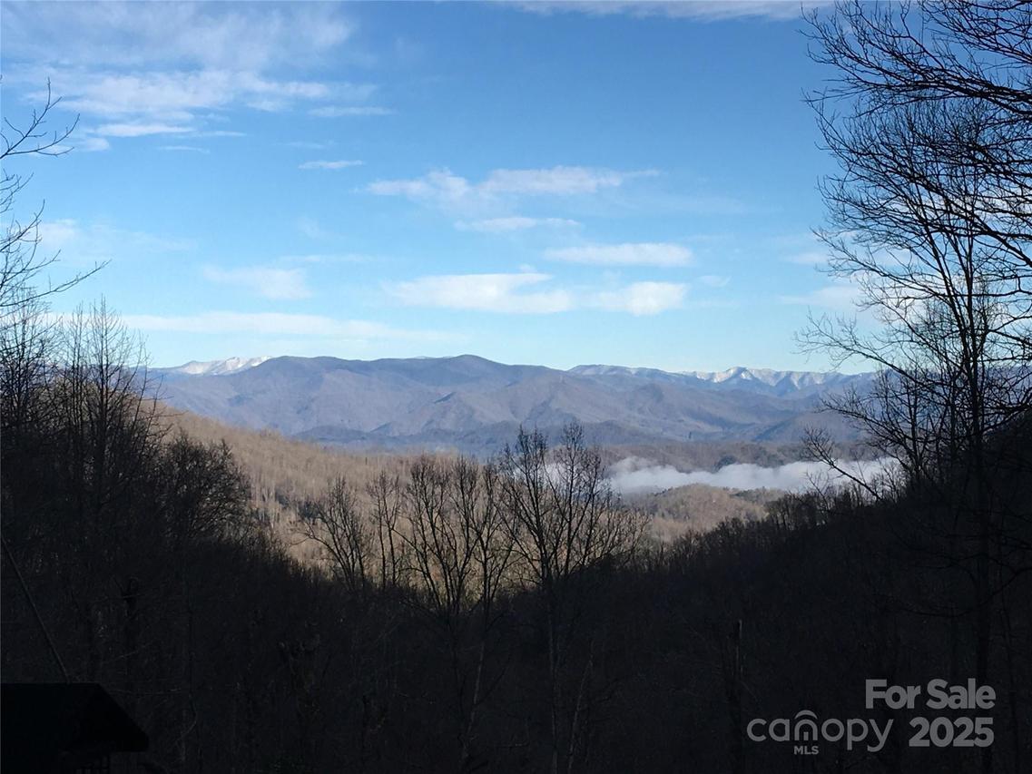 831 Forest Run Rd., Whittier, NC 28789