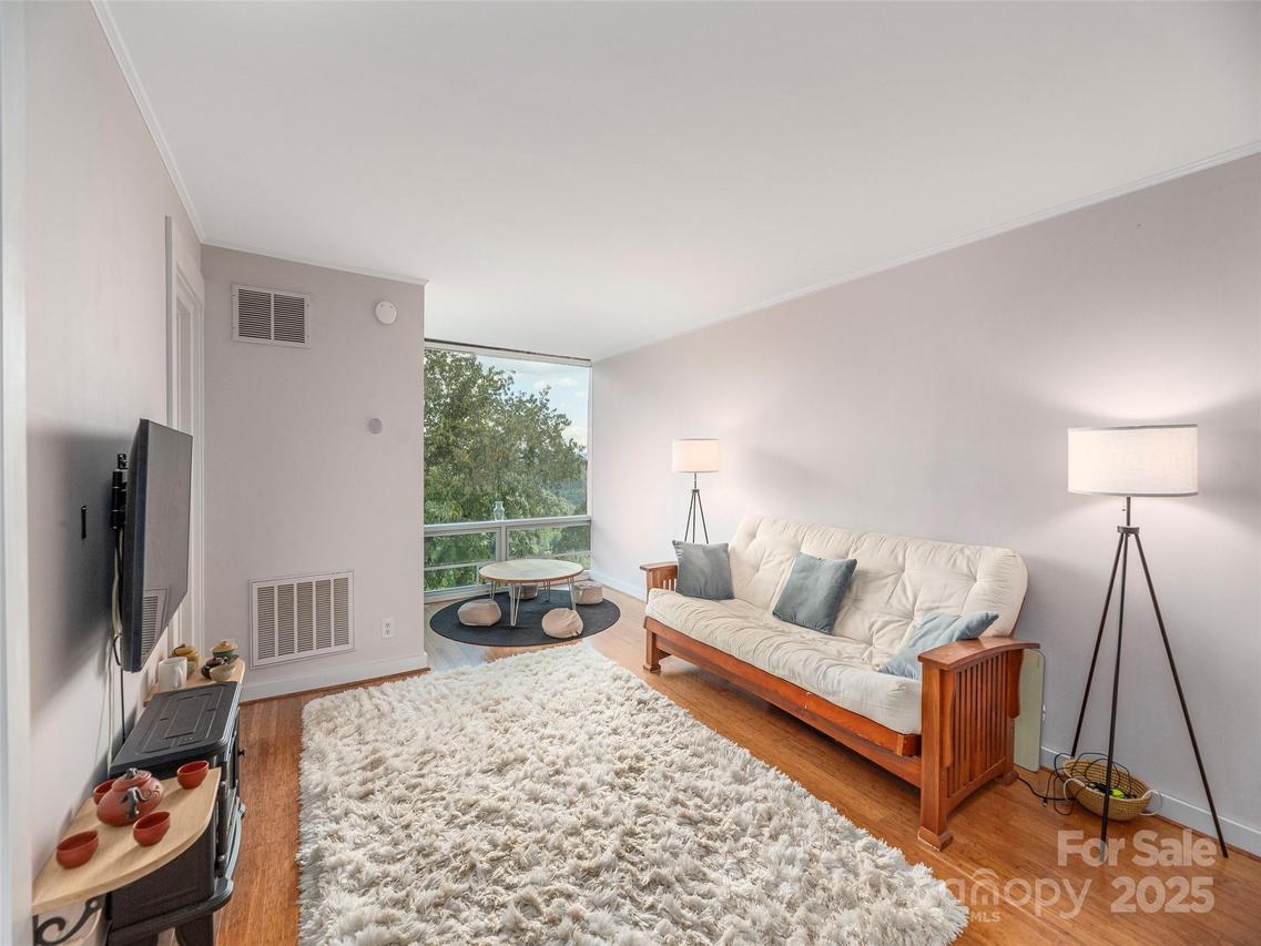 647 Town Mountain Rd. #501, Asheville, NC 28804