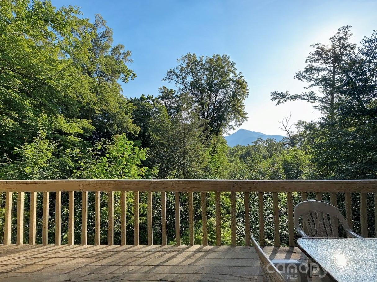 352 Bolt Rd., Lake Lure, NC 28746