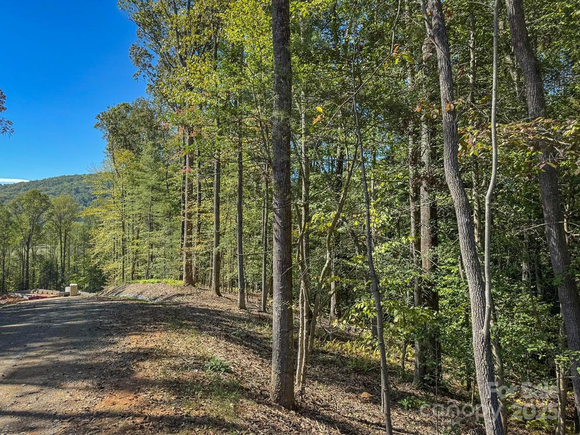 000 Reserve Way #14, Hendersonville, NC 28739