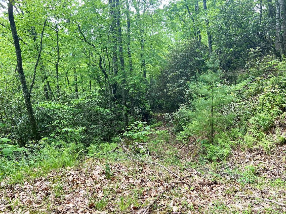 Lot 10 Mystic Forest Way #10, Bryson City, NC 28713