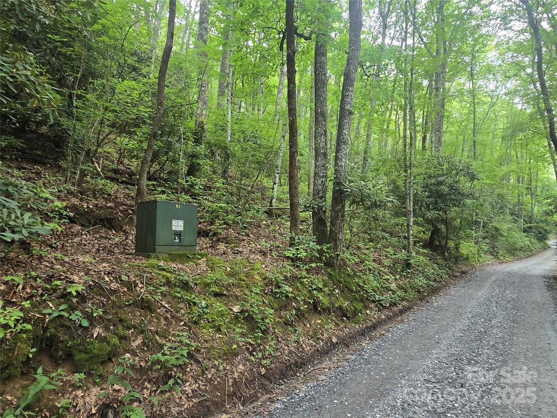 Lt 7 Buck Knob None, Cullowhee, NC 28723