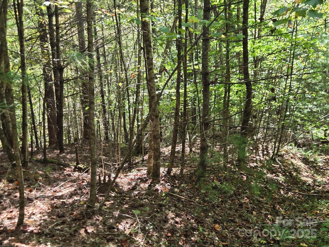 100 Stepp Ridge Ct., Hendersonville, NC 28792
