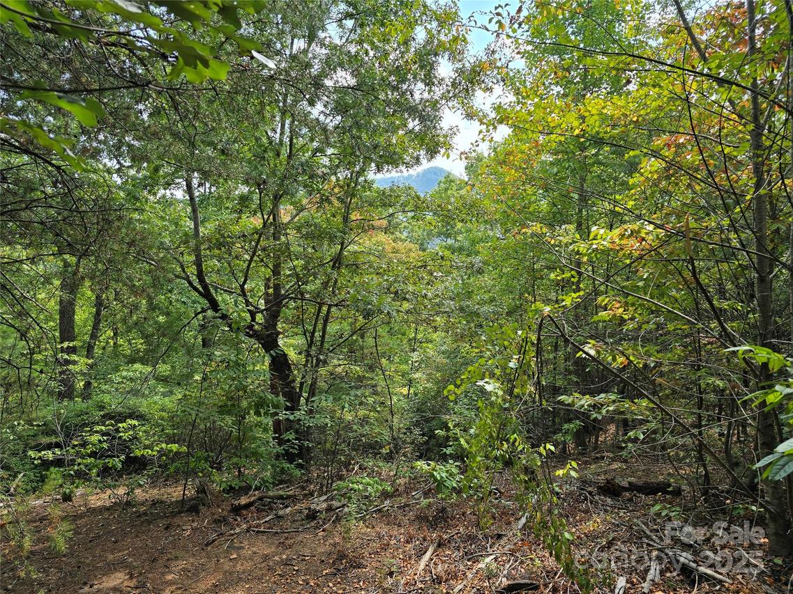 374 Garden Ln., Lake Lure, NC 28746