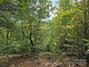 New Homes For Sale This Week That Attend Lake Lure Classical Academy: September 19th to September 25th