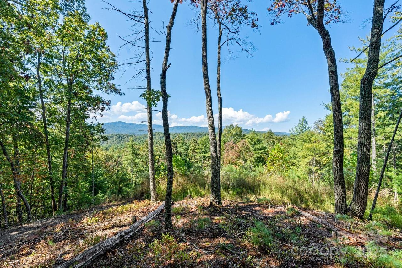 1362 Anson G. Betts Rd., Marshall, NC 28753