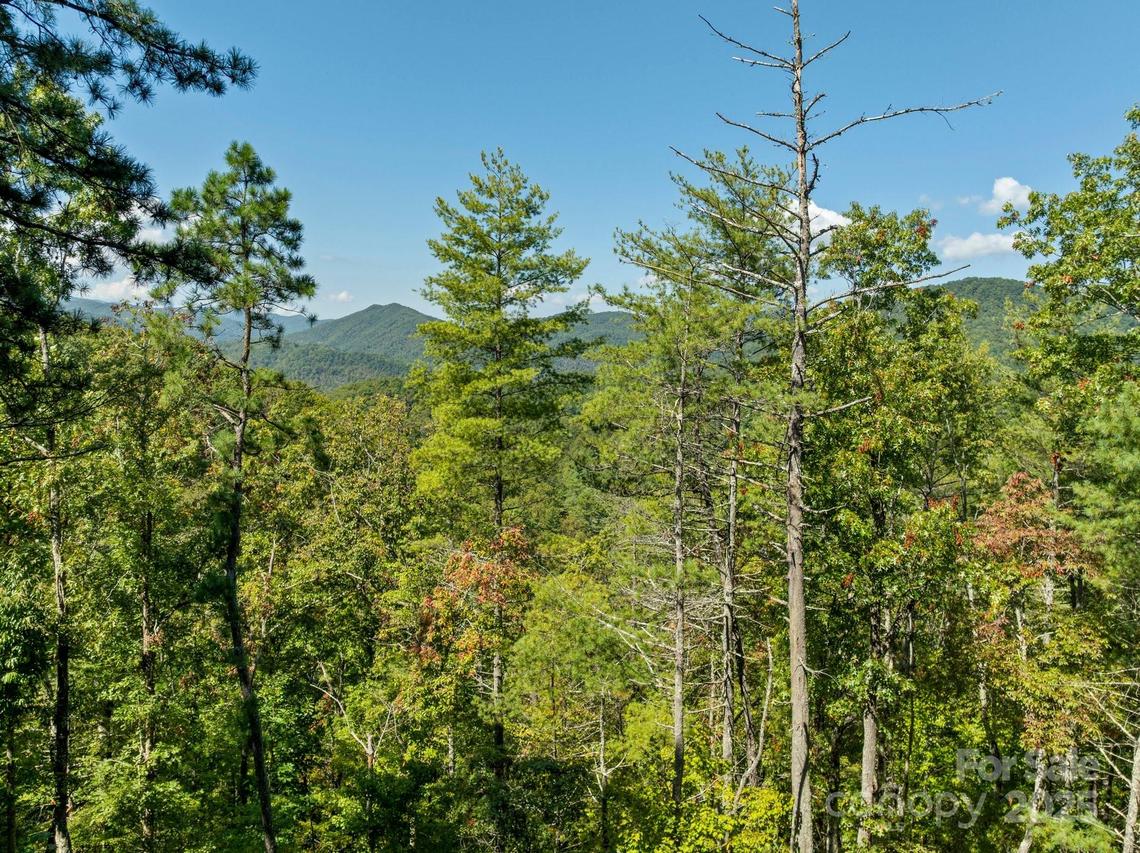 TBD Anson G. Betts Rd., Marshall, NC 28753