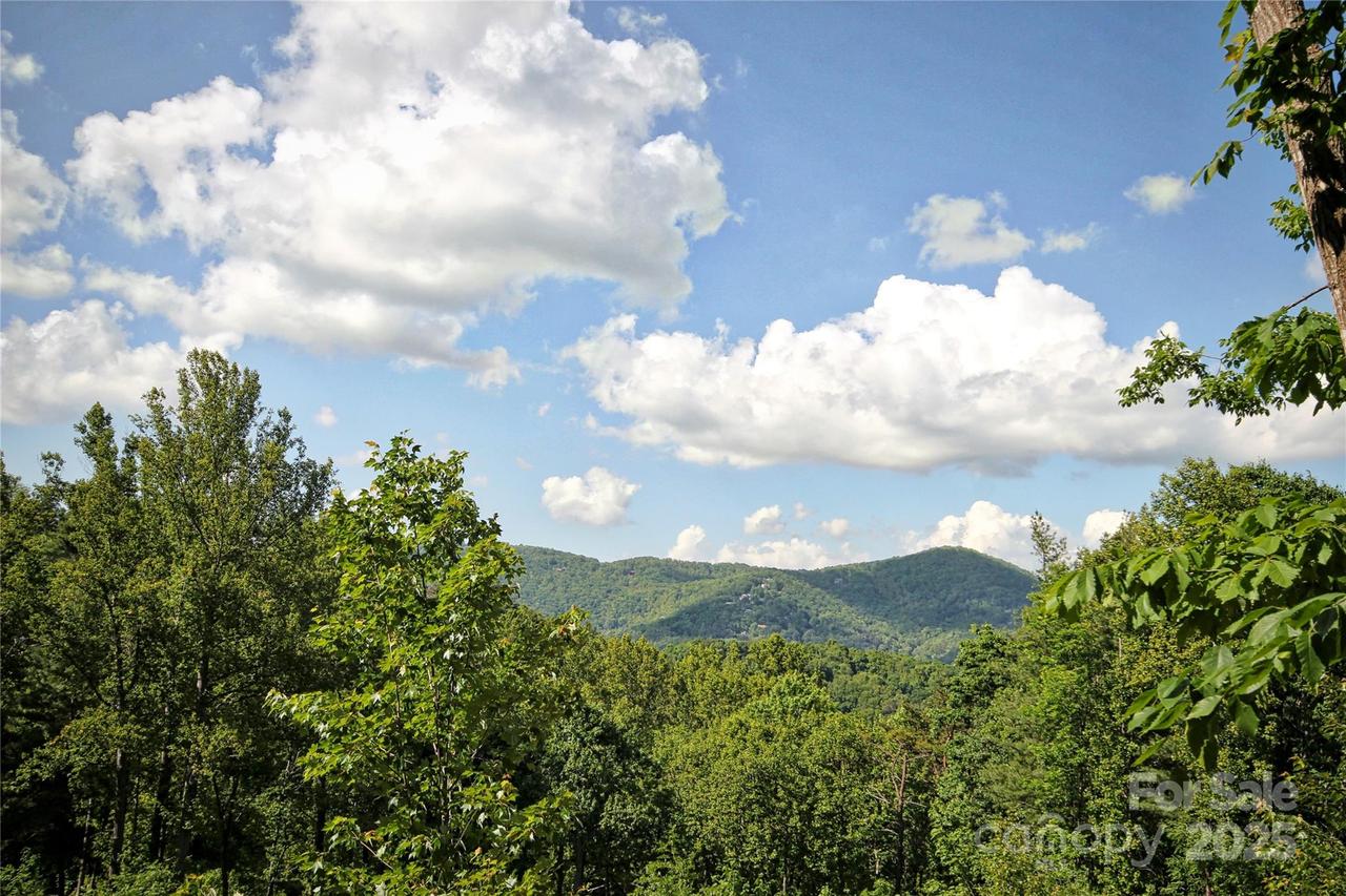 68 Wolfebridge Ln. #16, Asheville, NC 28804