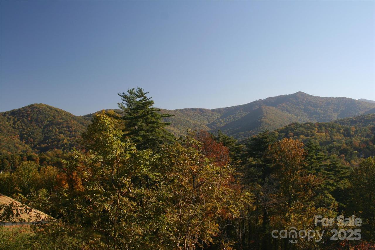 68 Wolfebridge Ln. #16, Asheville, NC 28804