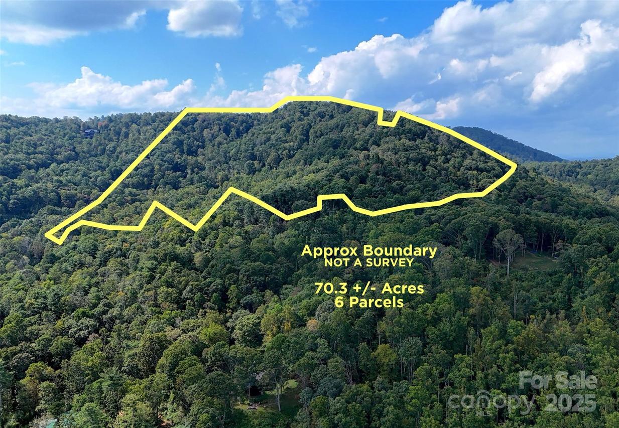 89 White Oak Gap Rd., Asheville, NC 28803