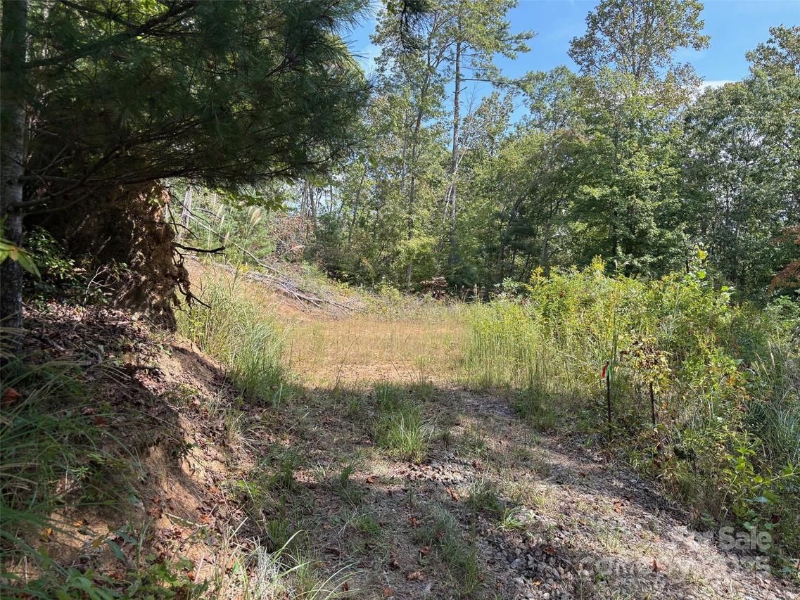 25 W Keesler St., Black Mountain, NC 28711