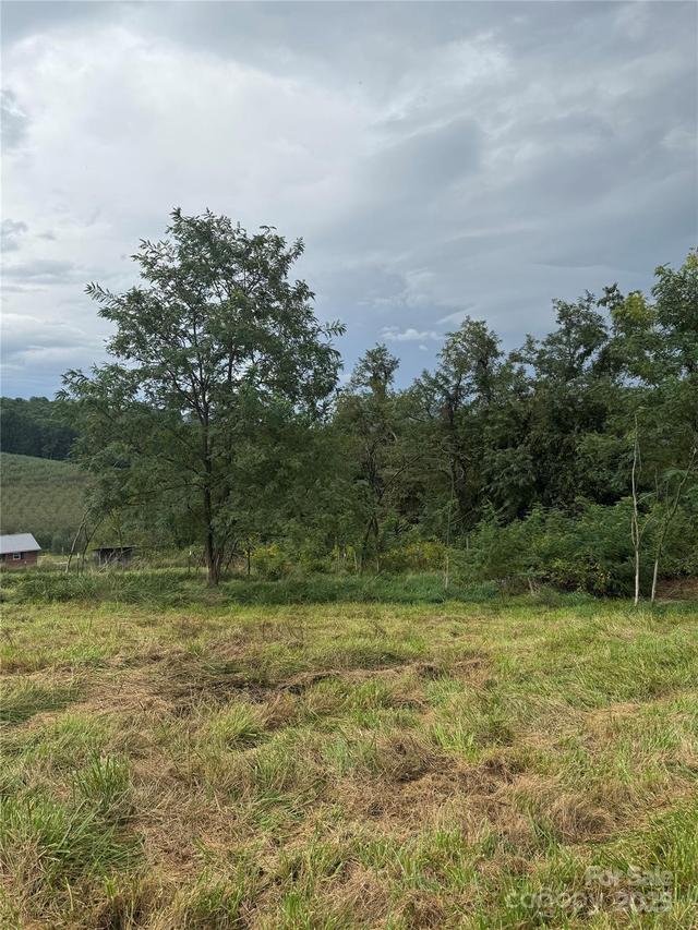 000 Bobs Rd., Hendersonville, NC 28792