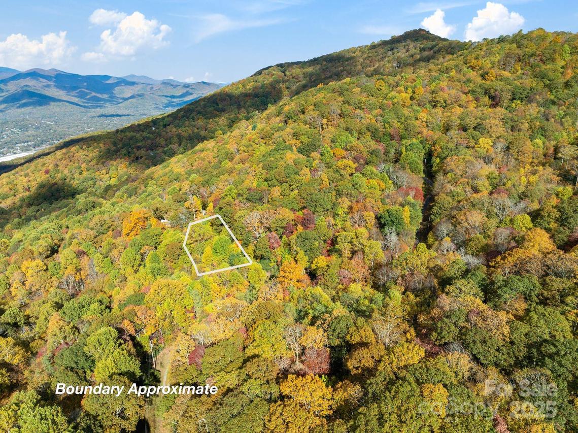 99999 Lytle Cove Rd., Swannanoa, NC 28778