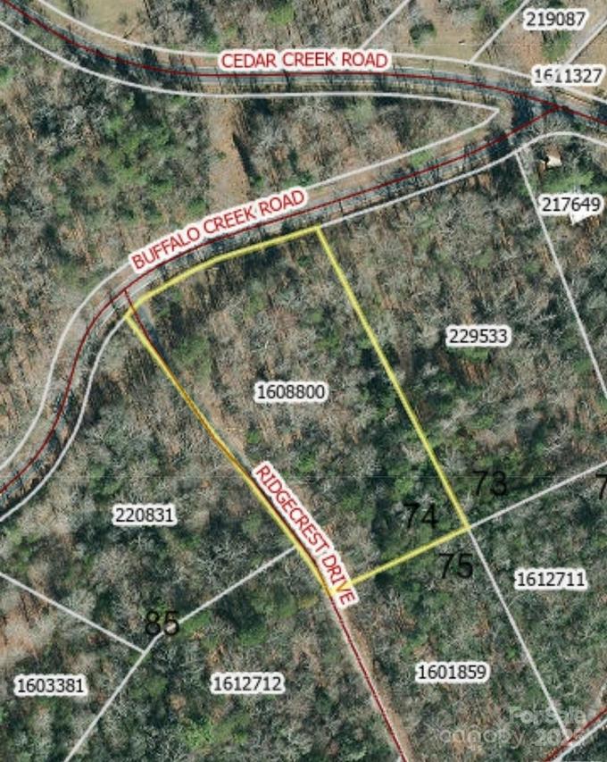 Buffalo Creek Rd. #74, Lake Lure, NC 28746
