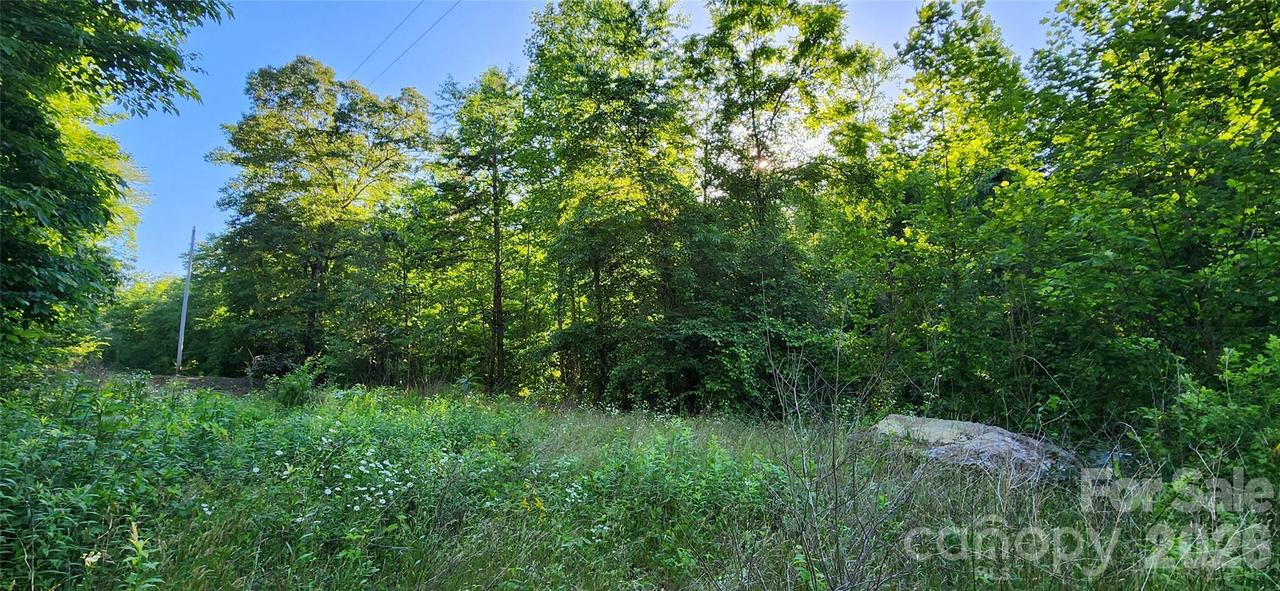 Buffalo Creek Rd. #74, Lake Lure, NC 28746