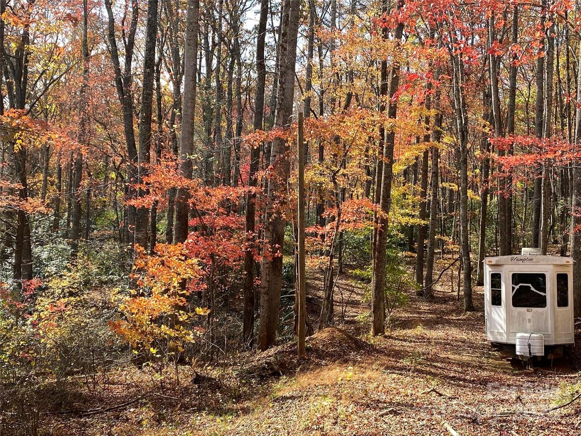 713 White Oak Creek Rd., Burnsville, NC 28714