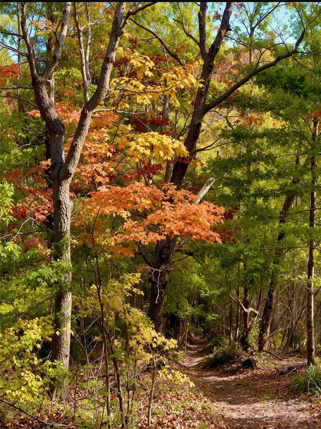 13 Spring Valley Way, Weaverville, NC 28787