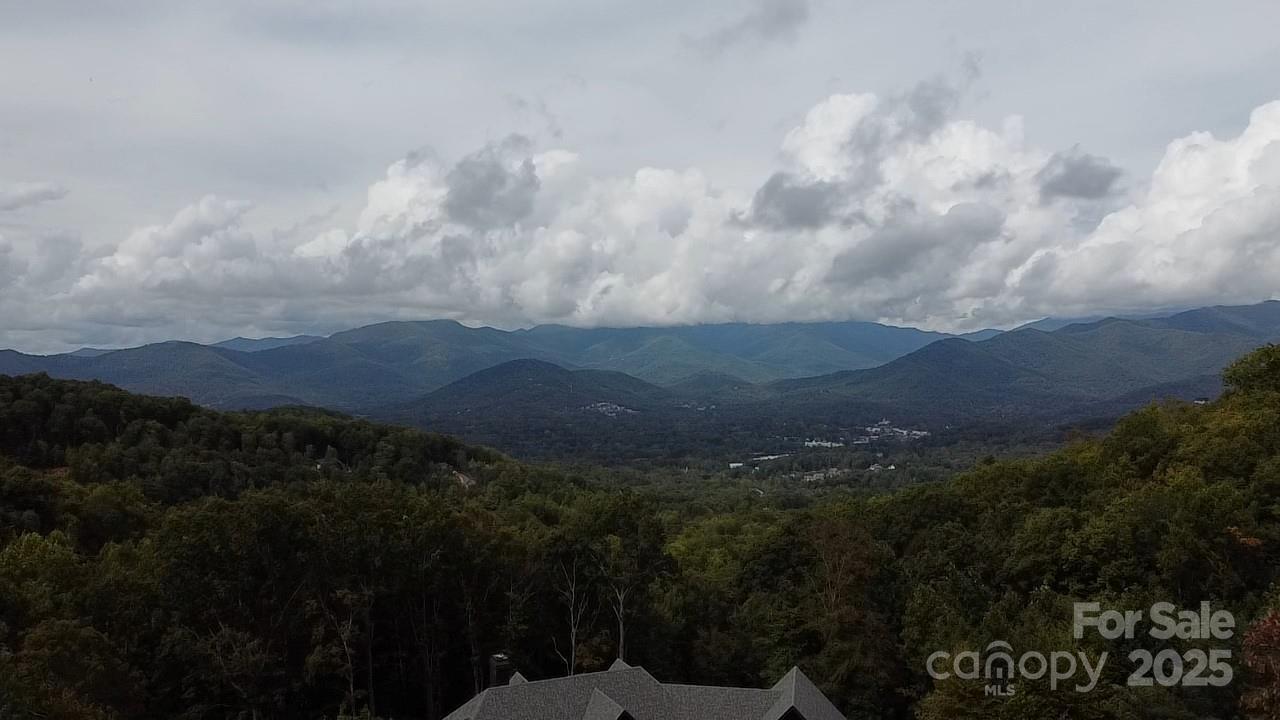 97 Settings Blvd., Black Mountain, NC 28711