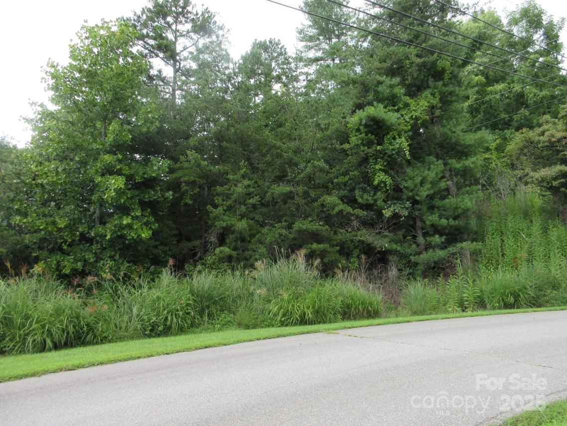 Old Burnsville Rd., Weaverville, NC 28787