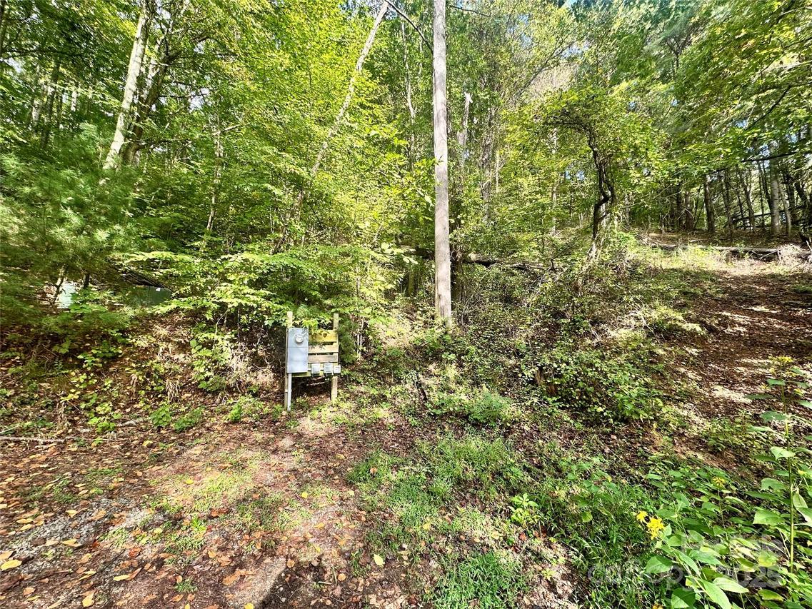 11 & 17 Tara Dr., Asheville, NC 28806