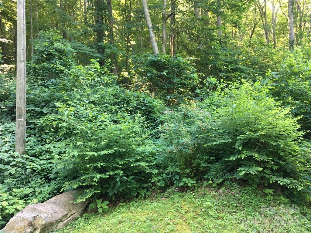 TBD Red Oak Forest Rd., Fairview, NC 28730