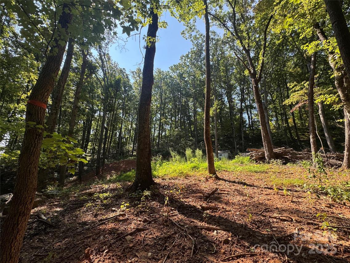 396 White Oak Mountain Rd. #39, Columbus, NC 28722