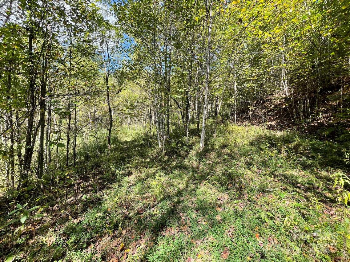 00 Poplar Holler Rd., Waynesville, NC 28786