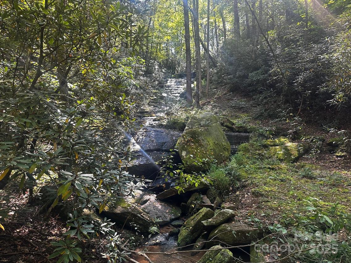 0000 Moss Hill Ln., Lake Lure, NC 28746