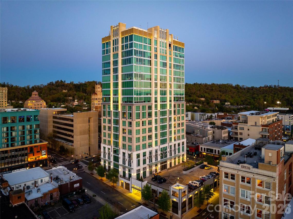 7 Patton Ave. #1207, Asheville, NC 28801