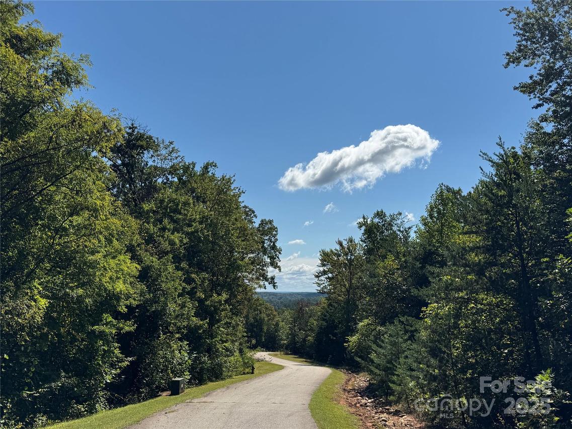 Bear Cliff Way #60, Lake Lure, NC 28746