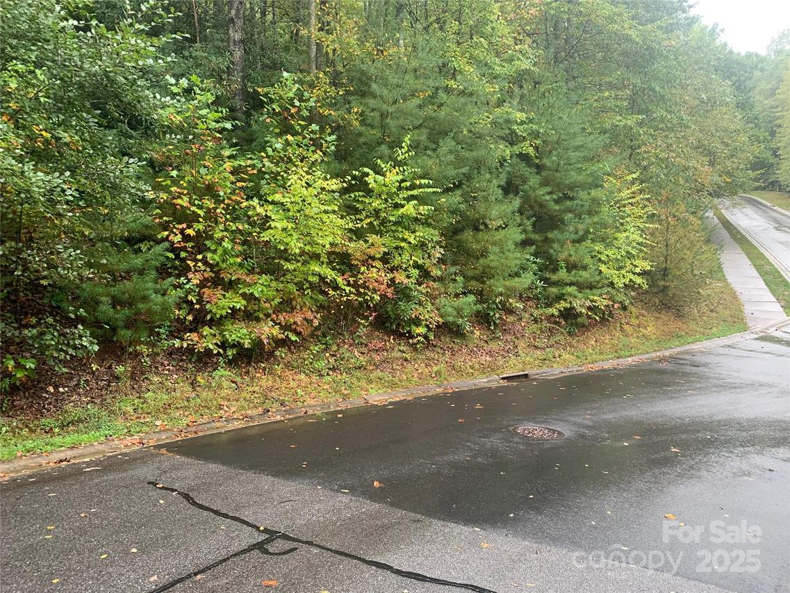 208 Settings Blvd. #248, Black Mountain, NC 28711