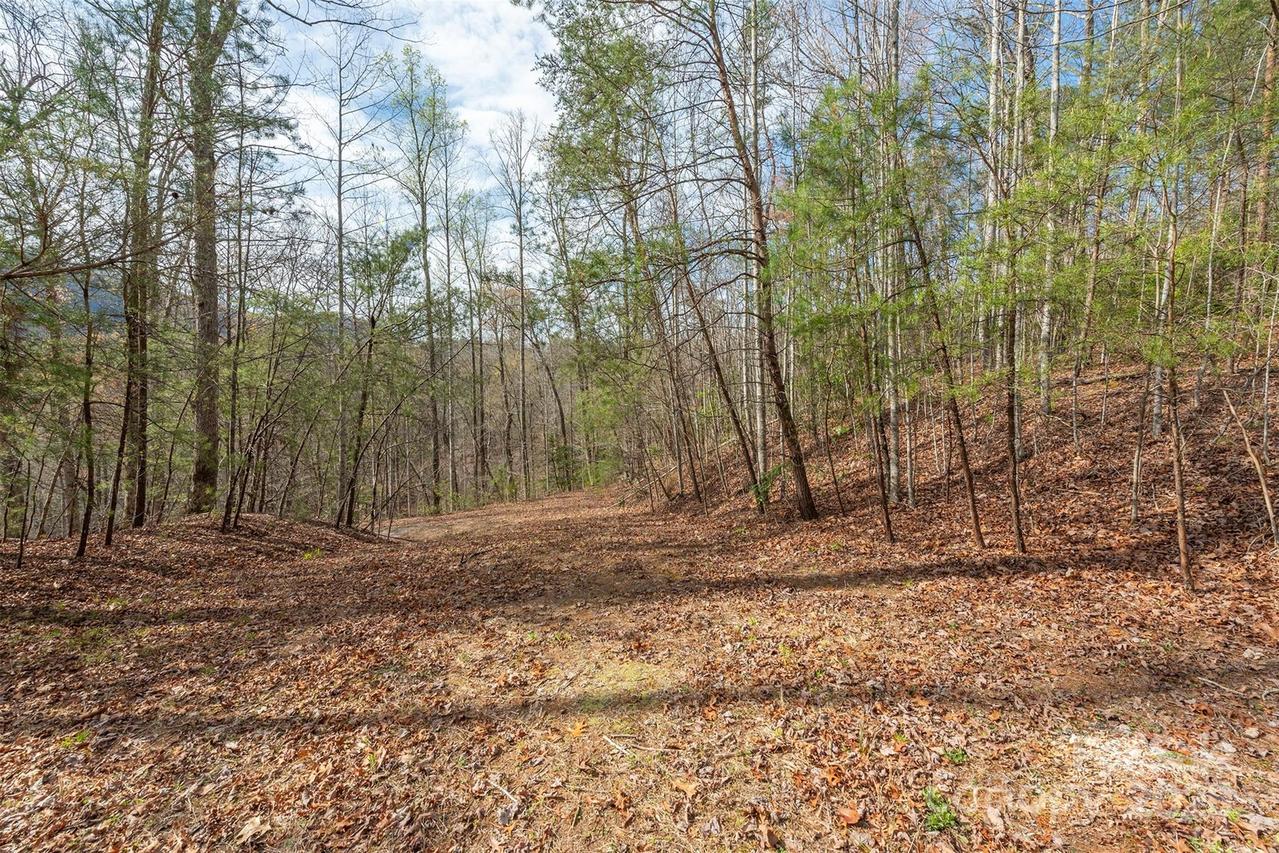 99999 Trillium Ln. #7, Lake Lure, NC 28746