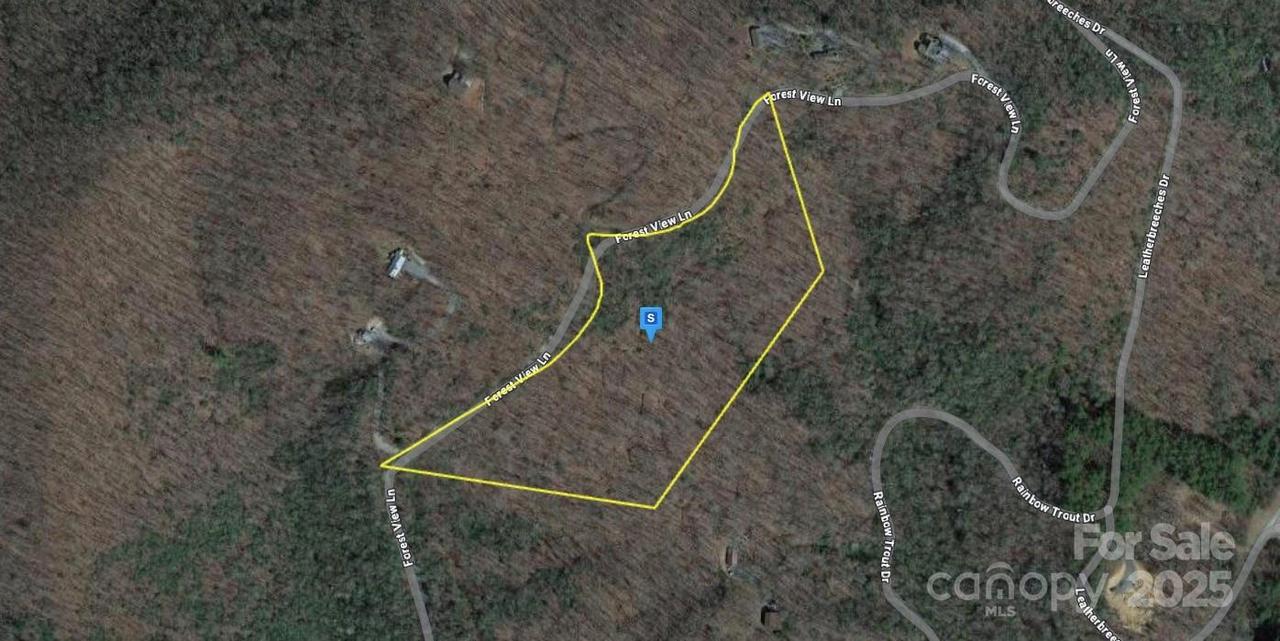 14 Forest View Ln., Tuckasegee, NC 28783