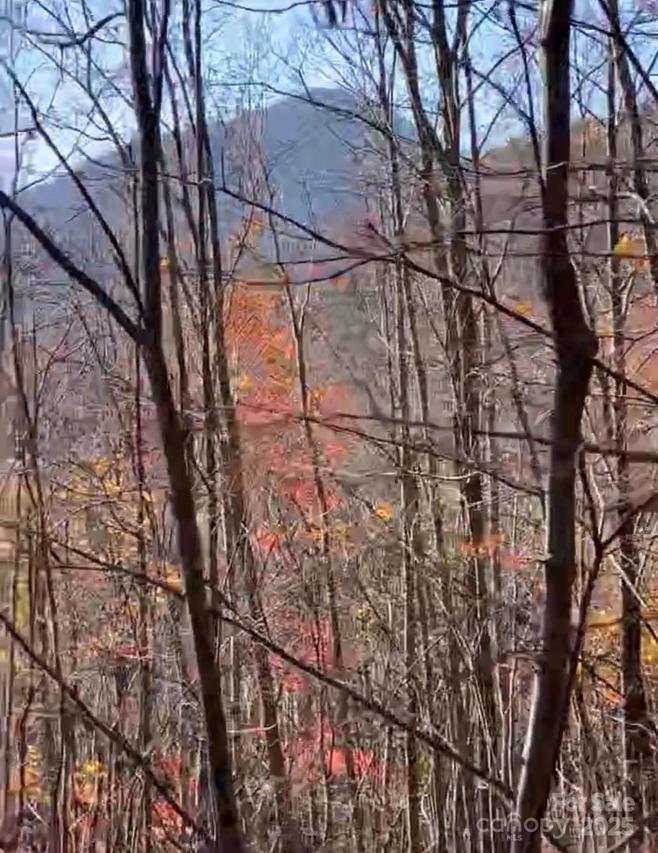 00 Camp Hill Rd., Mill Spring, NC 28756