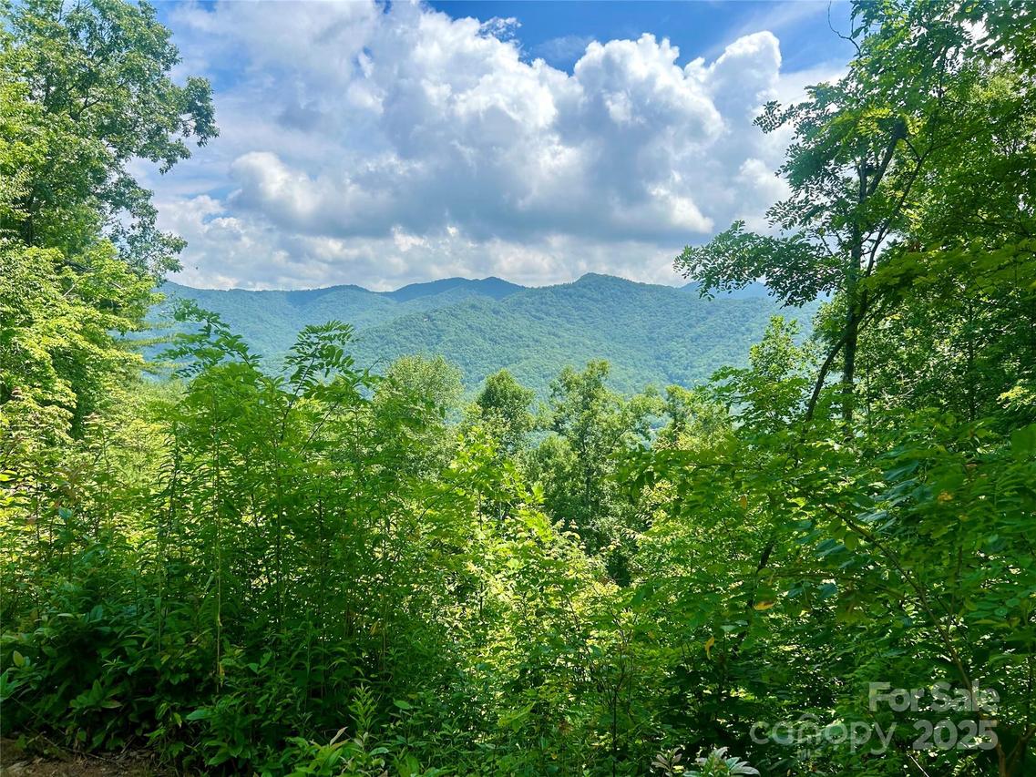 Hickory Rock Rd. #11, Bryson City, NC 28713