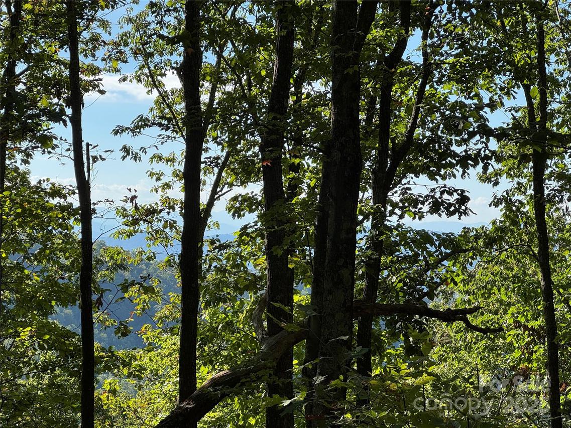 400 High Hickory Tr. #25, Swannanoa, NC 28778
