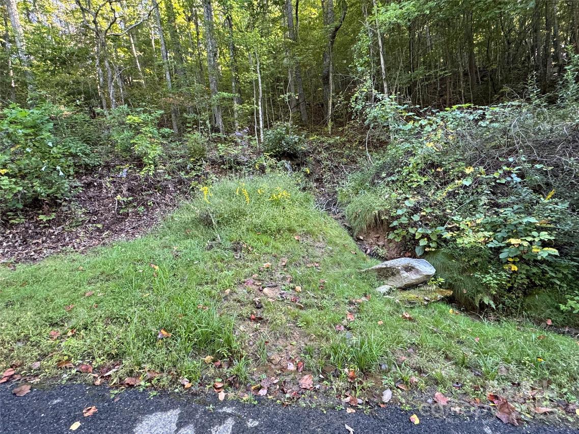 999 Red Oak Forest Rd., Fairview, NC 28730