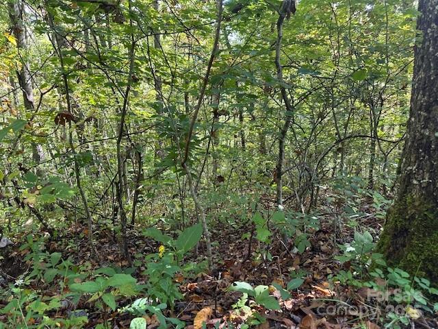 H16-H17 Shady Grove Rd., Tuckasegee, NC 28783
