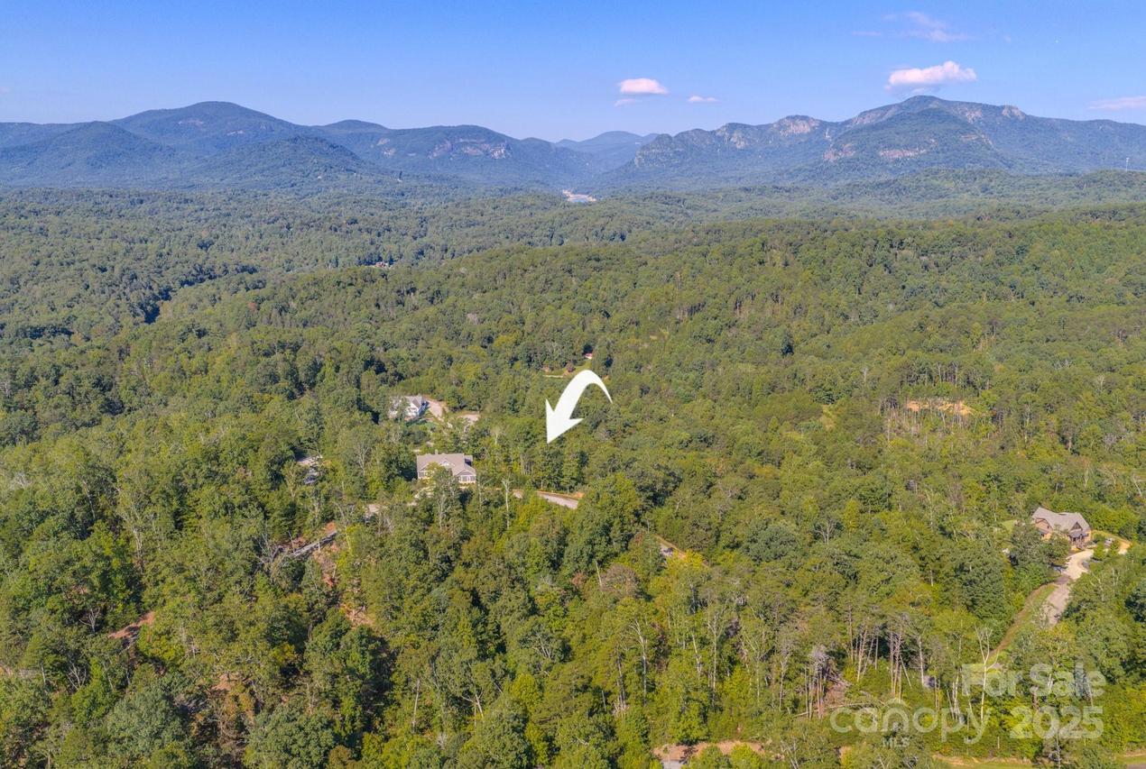 Willow Top Ln. #332, Lake Lure, NC 28746