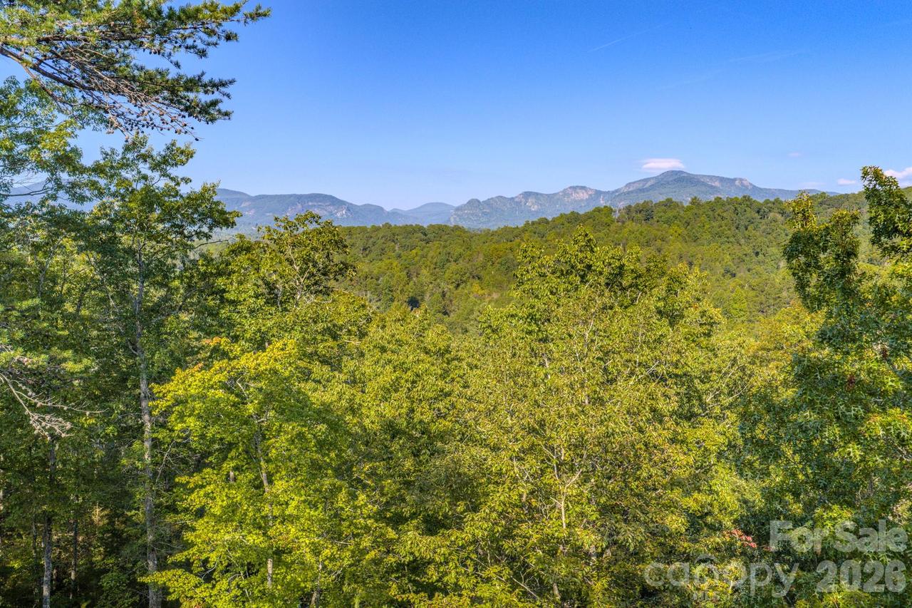 Willow Top Ln. #332, Lake Lure, NC 28746